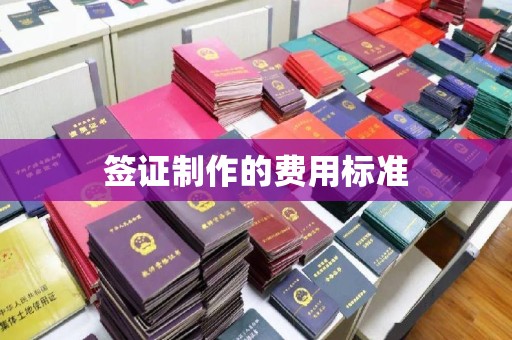 太谷签证制作的费用标准