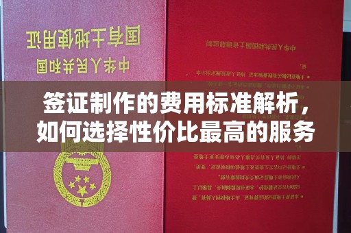 太谷签证制作的费用标准解析，如何选择性价比最高的服务